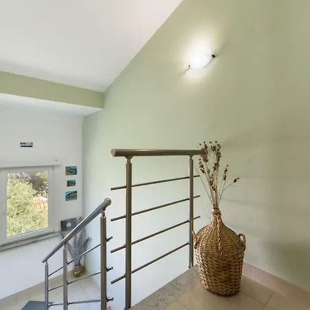 7+ Apartman